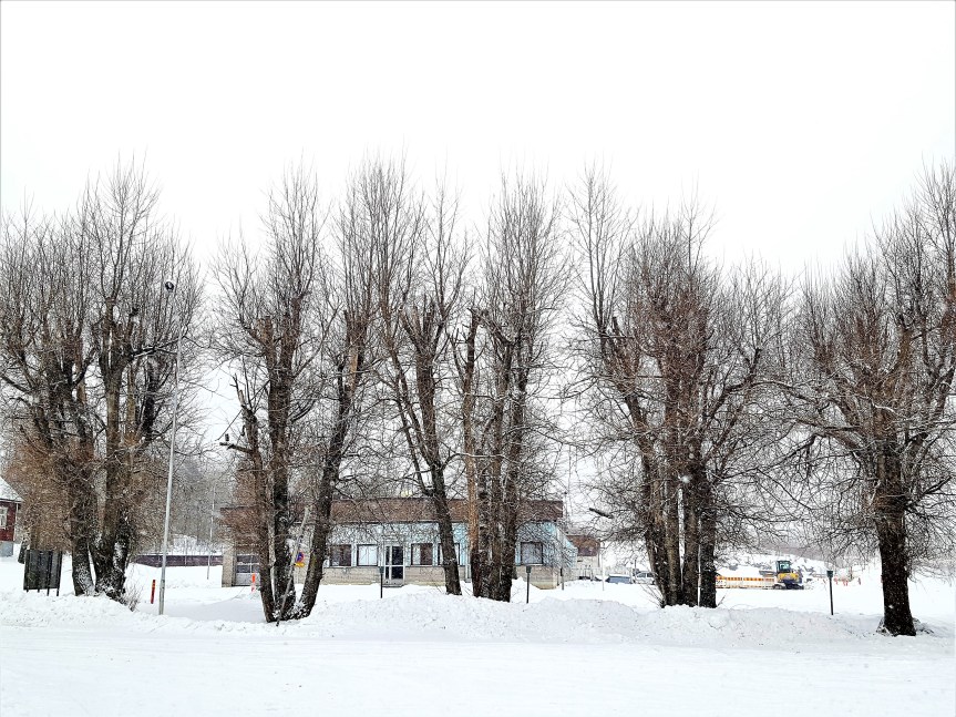 On My Four&nbsp;Seasons